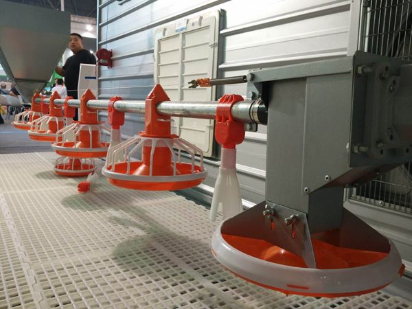 肉雞平養(yǎng)自動化設備